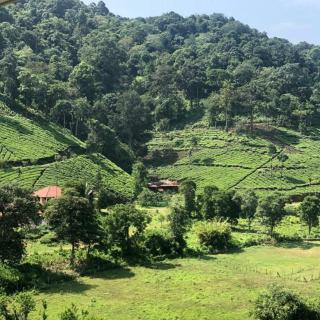 Janiro Tea Trees Villas - Vythiri - 0