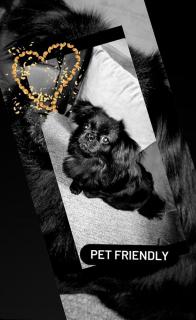 Apartman Dan i Noć - 6