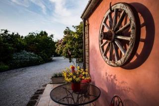 Tenuta Meraviglia - Esclusiva con grande giardino, piscina e vista ideale per gruppi e matrimoni - Grottazzolina - 5