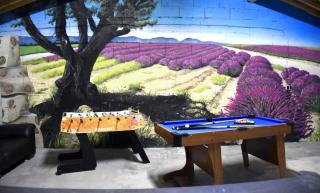 La Provence Cosy au Calme en Famille - salle de jeux - Idéalement placée - Barbecue - Vue dégagée sans vis à vis - Savasse - 6