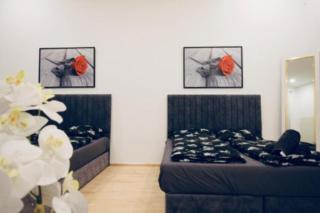 Lovely 2BR Apt With Modern Amenities Near Augarten - Wenen - 0