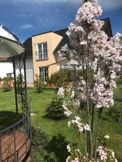 Apartment Henriette - Bad Liebenstein - 1