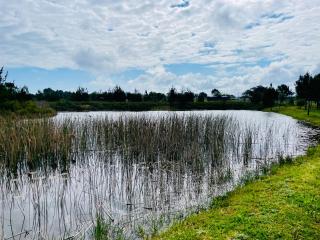Ichibi Luxury Lodge Plett - Kranshoek Griekwa Nedersetting - 2
