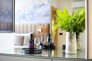 Fly Room - S1 - MPolo - Medulin - 2