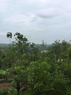 Riverside Nature villa in kolad nr Rafting - 6