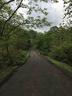 Riverside Nature villa in kolad nr Rafting - Kolād - 5