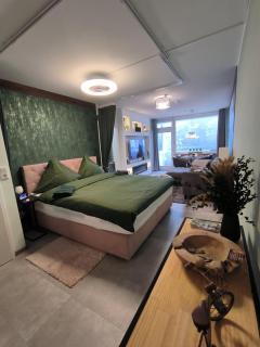 Harz High End Fewo Nicholas 4 Sterne DTV - Goslar - 0