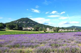 Havre de Paix et Lavandes - Très Calme - Salle de jeux - Jacuzzi Chauffé - Idéalement placée - Aucun vis à vis - Savasse - 0