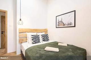 Cityscape Budget Apartments Blaha Loft - Budapest - 3