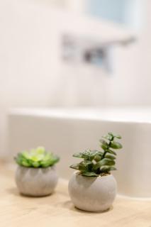 Central Wroclaw Apartment - Cozy Studio - Stare Miasto - K17 - 7