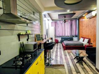 Leafyinn Stylish Studio - Nova Deli - 1