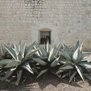Casa Bonita Hotel & Luxury Residence - Oaxaca - 2