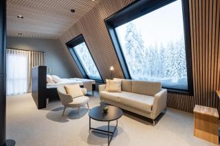 Glass Resort - Rovaniemi - 1