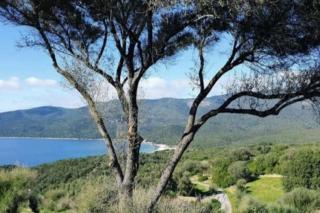 Villa 45 pers T2 climatisée dans résidence vue mer piscine chauffée - Serra-di-Ferro - 0