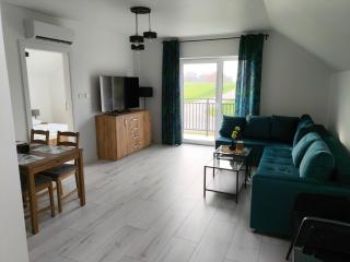Horyzont Apartamenty Zator - Gierałtowiczki - 9