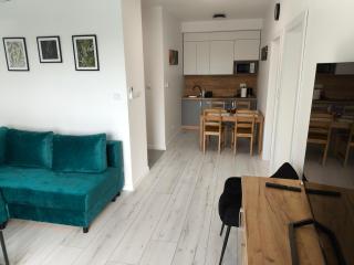 Horyzont Apartamenty Zator - Gierałtowiczki - 1