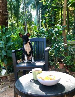 Sanasuma Ayurveda Homestay - 3