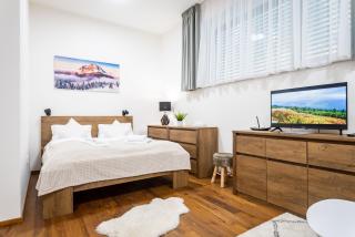 Horský apartmán v resortu se službami a wellness - Vrchlabí - 8
