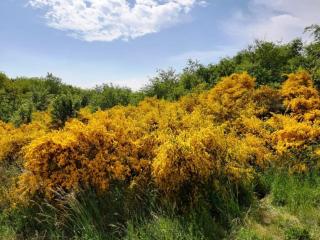 Ferienwohnung Patchwork - Alt Reddevitz - 7