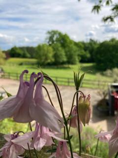 Lavender cottage - Gloucester - 3