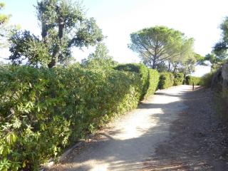 Ferienhaus zw. Cogolin und St. Tropez - Grimaud - 5
