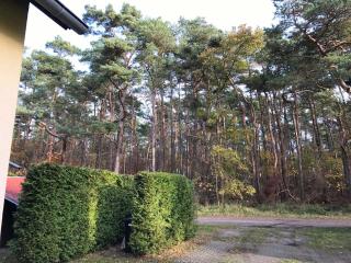 Ferienhaus Sonnenschein in Breege - Juliusruh - 8