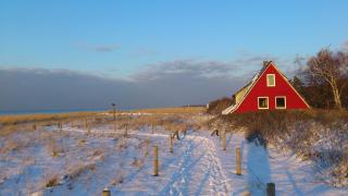 Ferienwohnung am Meer - Markgrafenheide - 8