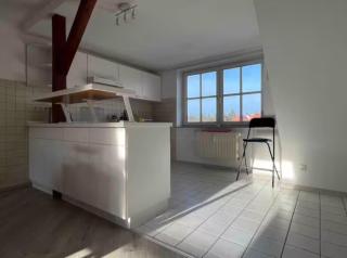 NEU! Ferienwohnung Zeitz - Zeitz - 6
