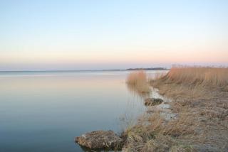 FischLANDinSicht - Ribnitz-Damgarten - 7