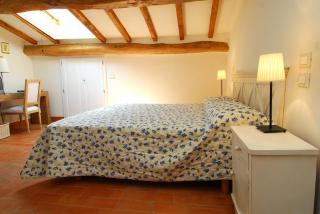 Agriturismo Tenuta Conti Faina - 4