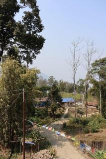 Blue Heaven Homestay by The Pine Cones - Darjeeling - 9