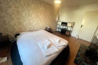 Superbe appartement 4 pers Blotzheim Near Basel - Blotzheim - 6