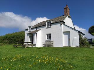 Lower Tresmorn Cottage - Crackington Haven - 0