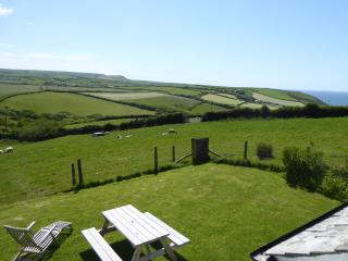 Lower Tresmorn Cottage - Crackington Haven - 8