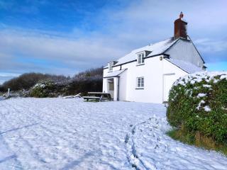 Lower Tresmorn Cottage - Crackington Haven - 3