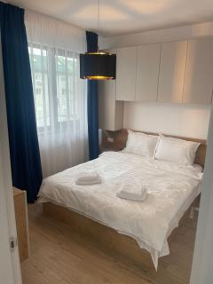 Royal Apartments Otopeni #10 - Otopeni - 9
