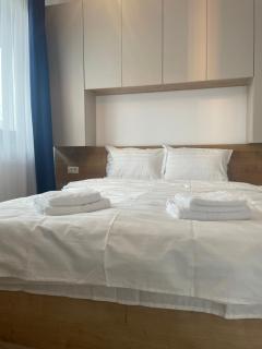 Royal Apartments Otopeni #10 - Otopeni - 1