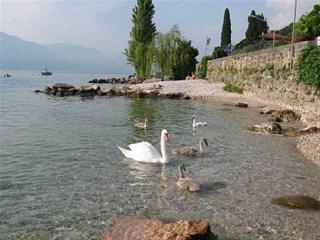 Il Nido - Euroresidence Lungolago Garda - 3