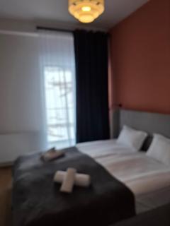 New Gudauri Two Bedroom Apartment Neo Building - Gudauri - 4