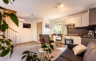 House Palmera 2 - 1