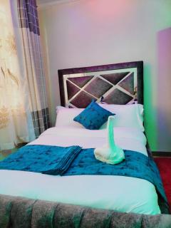 Exquisite 6 bedroom Villa in Nakuru - Nakuru - 6