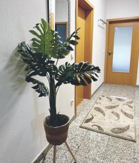 Zentrale große vollausgestattete Wohnung für alle Zwecke perfekt geeignet - Witten - 2