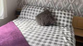 Seaside 3 bed dog friendly Caravan in Mablethorpe - Mablethorpe - 7