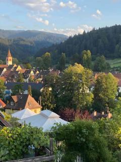Haus Waldfee - Sulzburg - 2