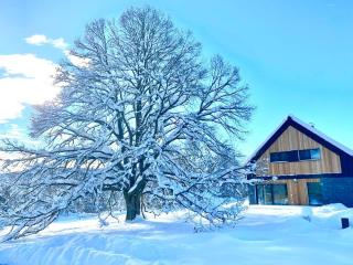 Apartmány Na výsluní Šumava - Pěkná vyhlídka - Volary - 1