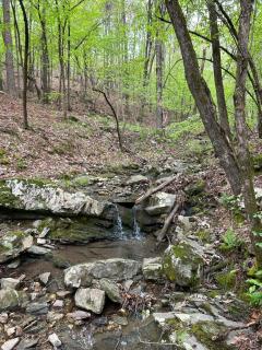 Stayhocha Creekside Pets Lux Cabin Views Hot Tub - Broken Bow - 1