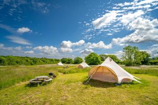Primrose at Blancas Bell Tents - 5