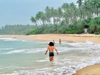 Rekawa Turtle Gate Hotel - Tangalle - 3