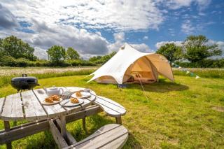 Red Clover at Blancas Bell Tents - Ringstead - 5