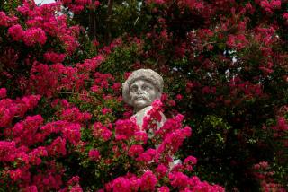 Castello di Roncade - Roncade - 1